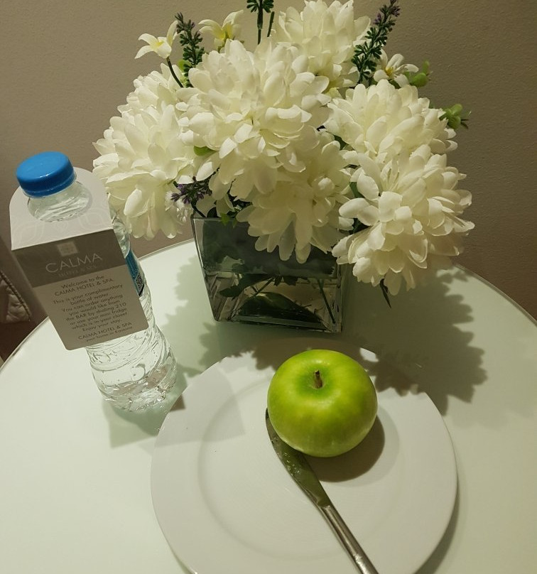 Calma Hotel & Spa主图