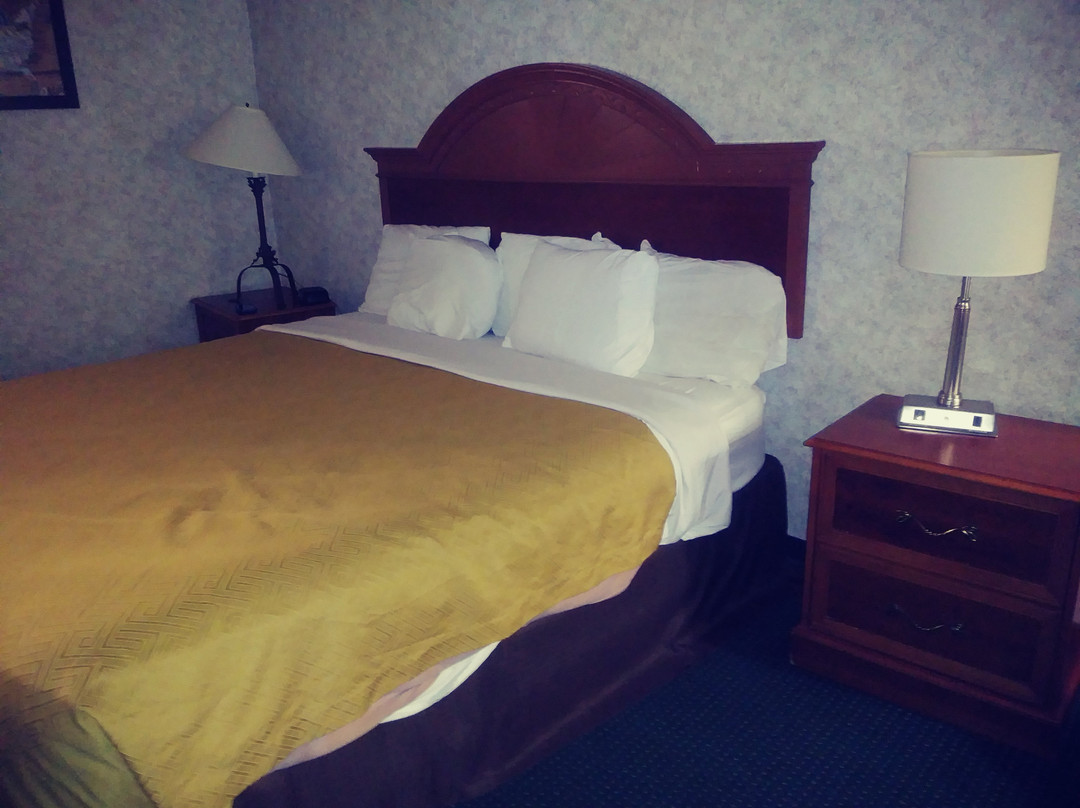 Econo Lodge White Pine Morristown I-81 & I-40 Split主图