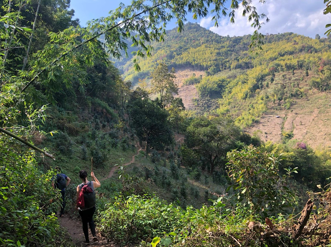 Mr. Bike Hsipaw Trekking-西保必去景点
