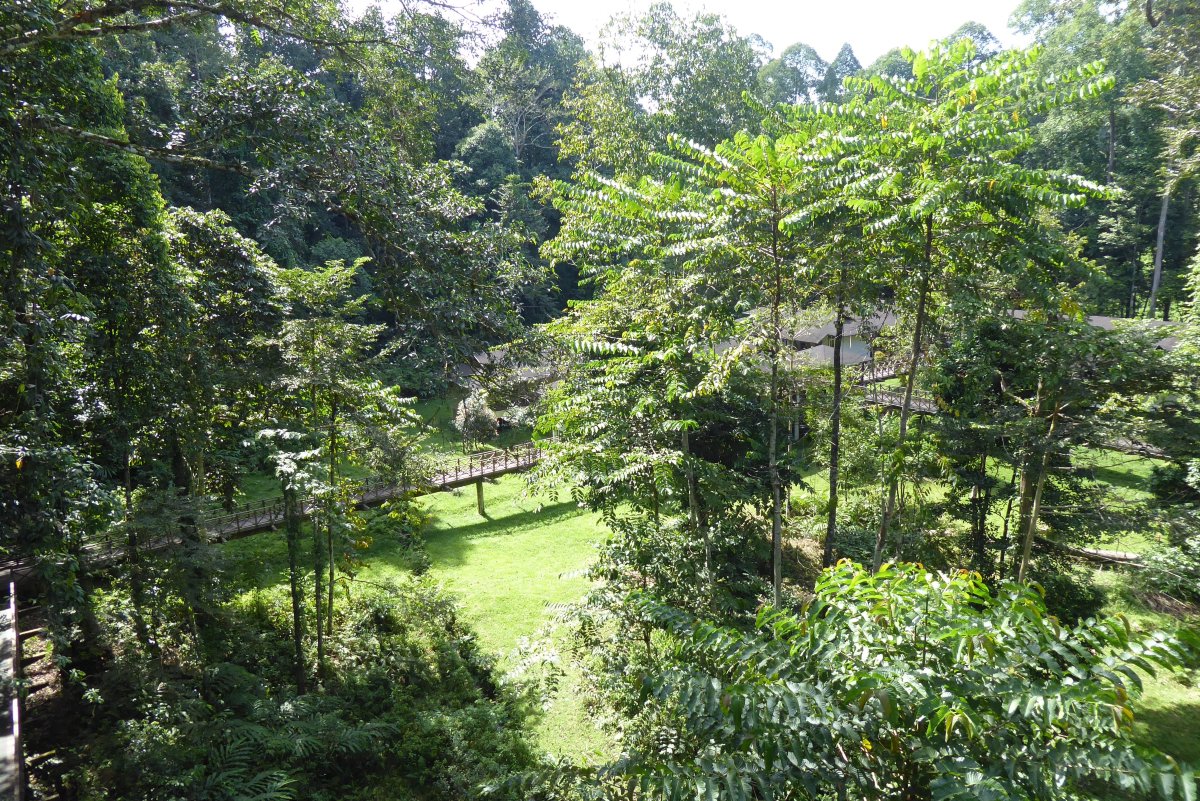 Kawag Nature Lodge-浴室