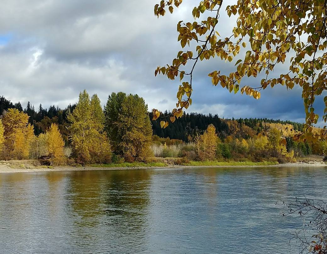 Cottonwood Island Nature Park景点图片