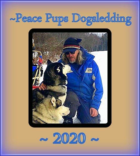 Peace Pups Dog Sledding-Elmore必去景点