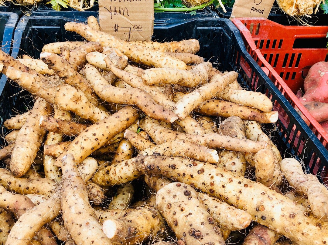 圣莫妮卡农贸市场-圣莫尼卡必去景点