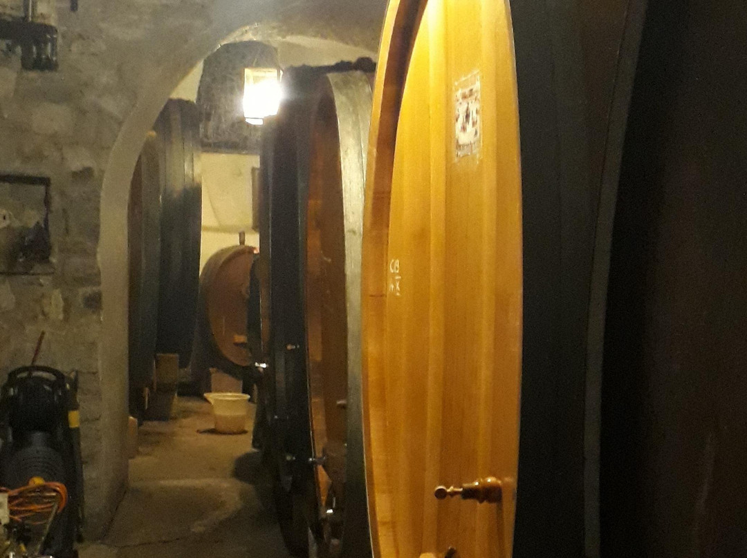 Vinorama Wine Tour, Lavaux-Rivaz必去景点