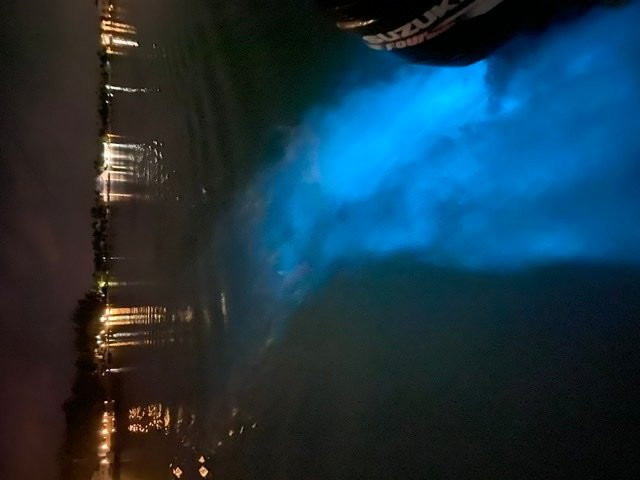 Peace of Cayman-Rum Point必去景点