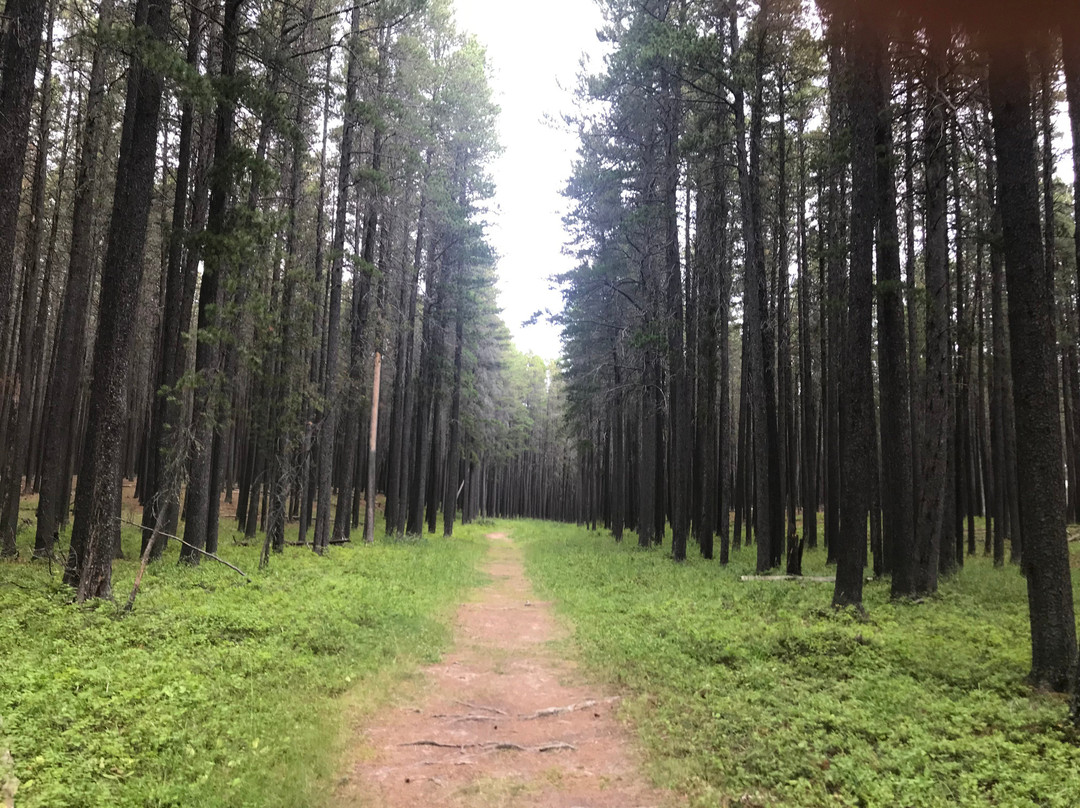 The Resort at Cypress Hills主图