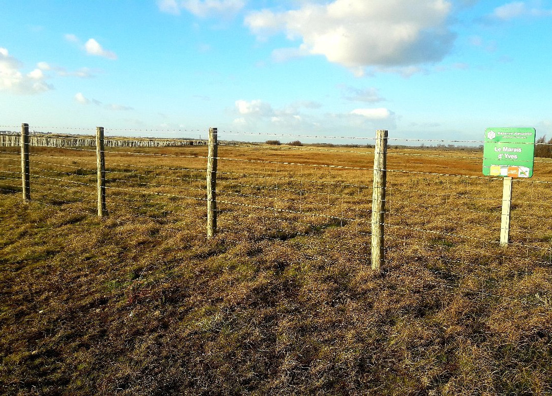 Reserve Naturelle du Marais d'Yves-Yves必去景点
