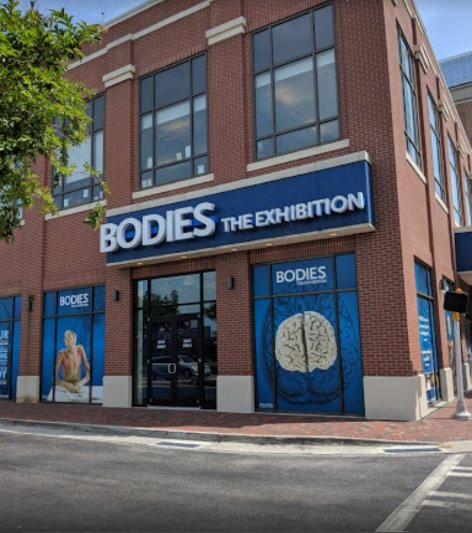 大西洋站-亚特兰大必去景点