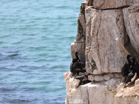 North Ponds Park-Webster必去景点