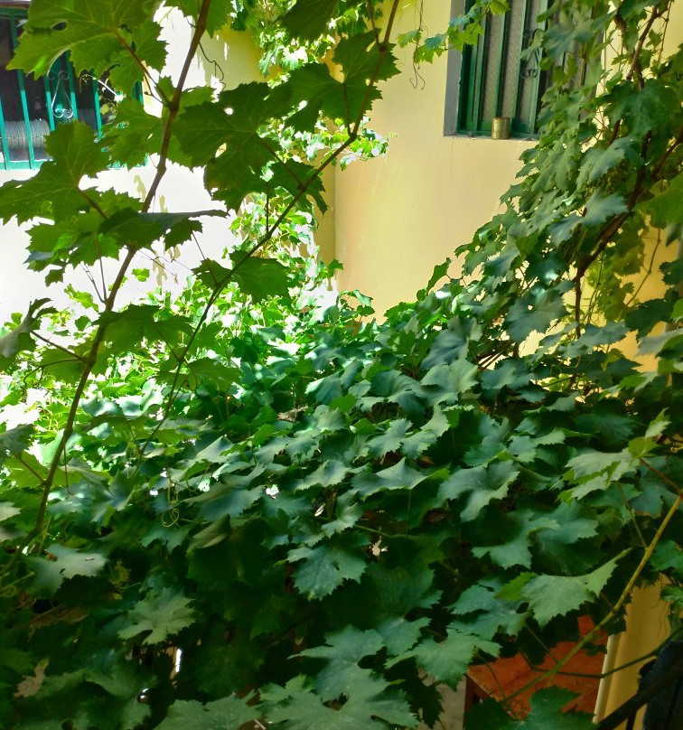 Hostal Tacacho主图