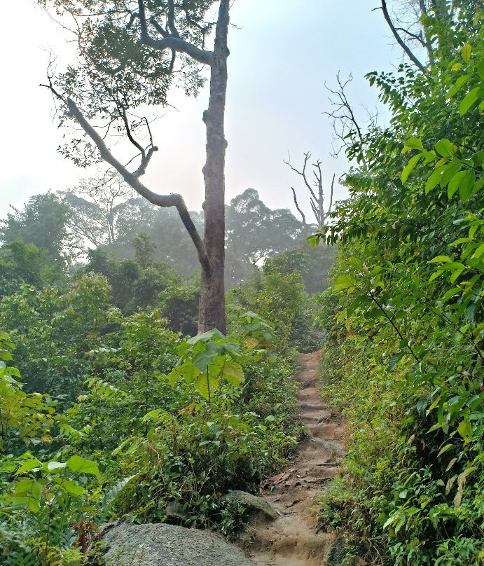 Bukit Mor-Parit Jawa必去景点
