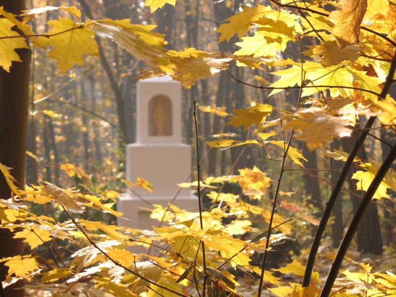 Muzeum im. Anny i Jarosława Iwaszkiewiczów-Podkowa Lesna必去景点