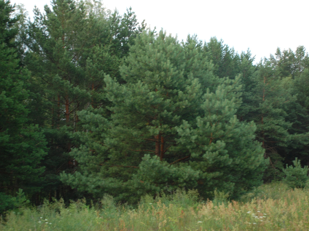 Horse tourist Base Dobry Yar-Gordikovo必去景点