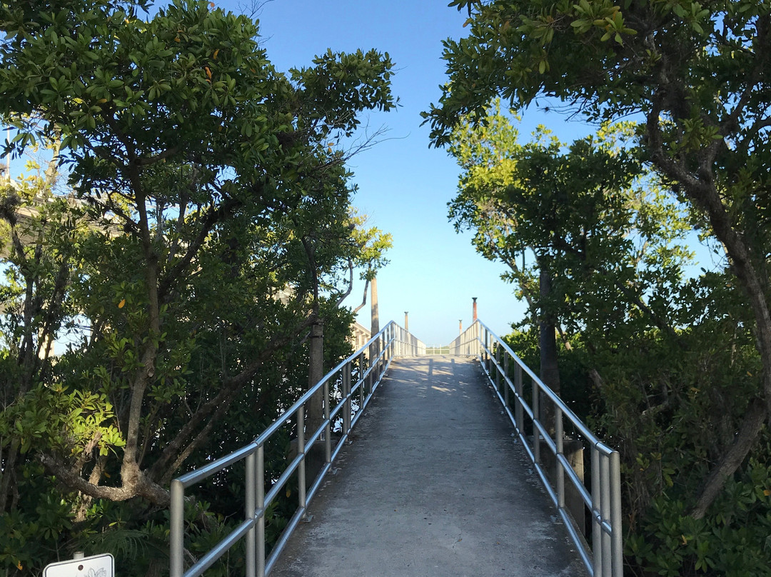 Centennial Park-迈尔斯堡必去景点