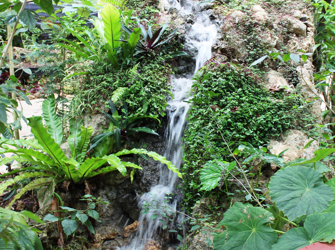 Rainbow Parrot Nature Park-维拉港必去景点
