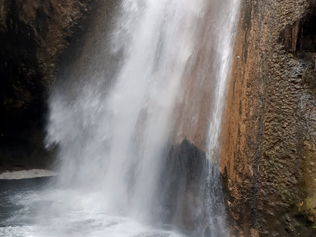 Iyon Stream Nature Reserve-Metulla必去景点