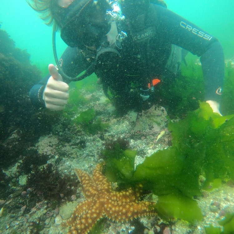 Cinco Oceanos Dive Center景点图片