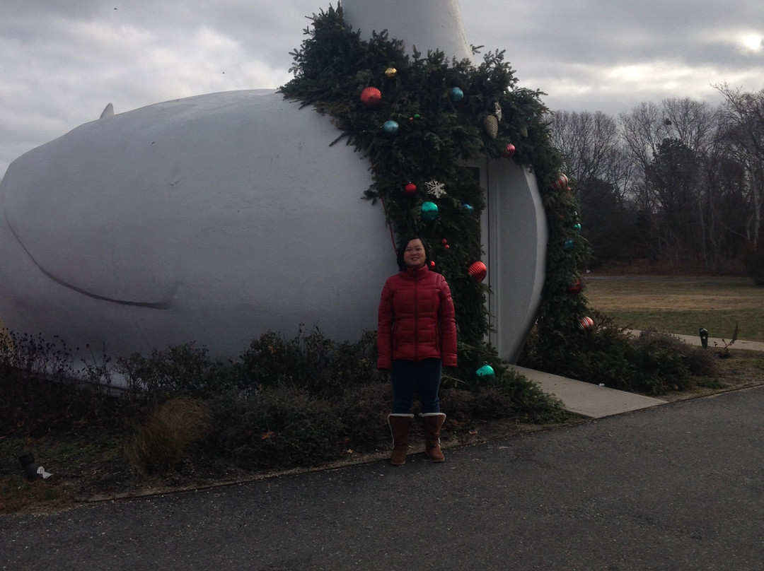 The Big Duck-Flanders必去景点