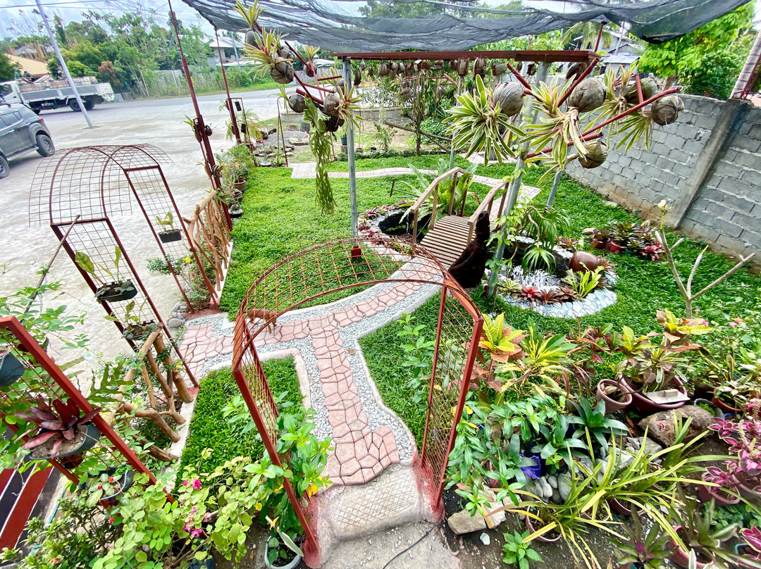 YKalinga Hotel主图