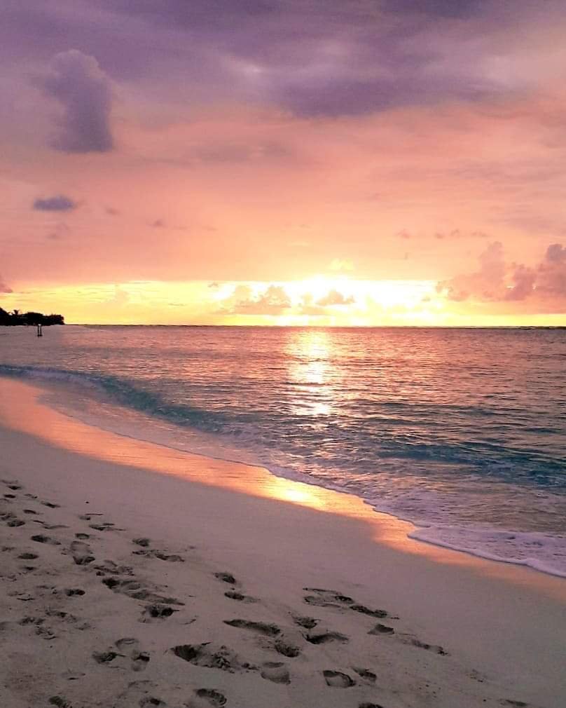 Feridhoo Inn-泳池