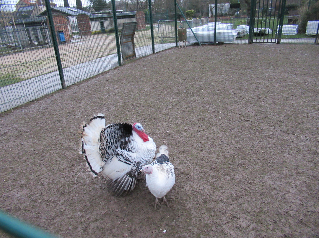 Parc des Gondoles-Choisy-le-roi必去景点