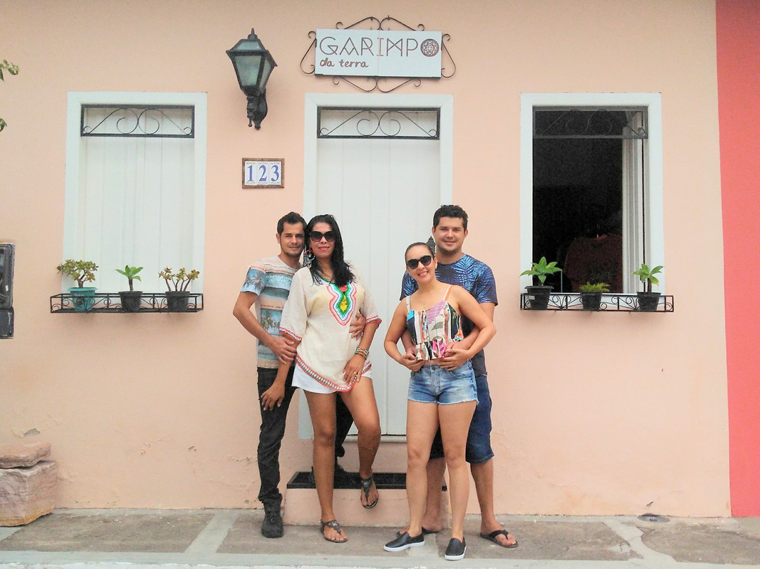 Garimpo da Terra主图