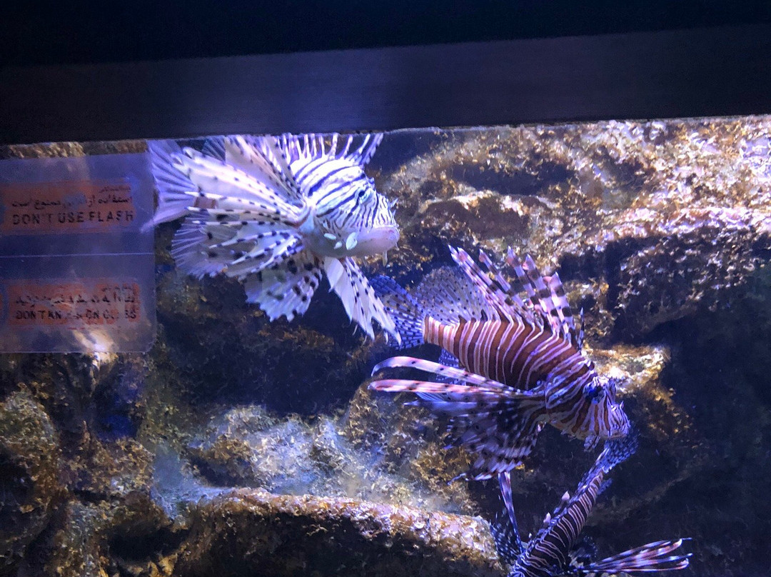 Isfahan Aquarium-Isfahan必去景点