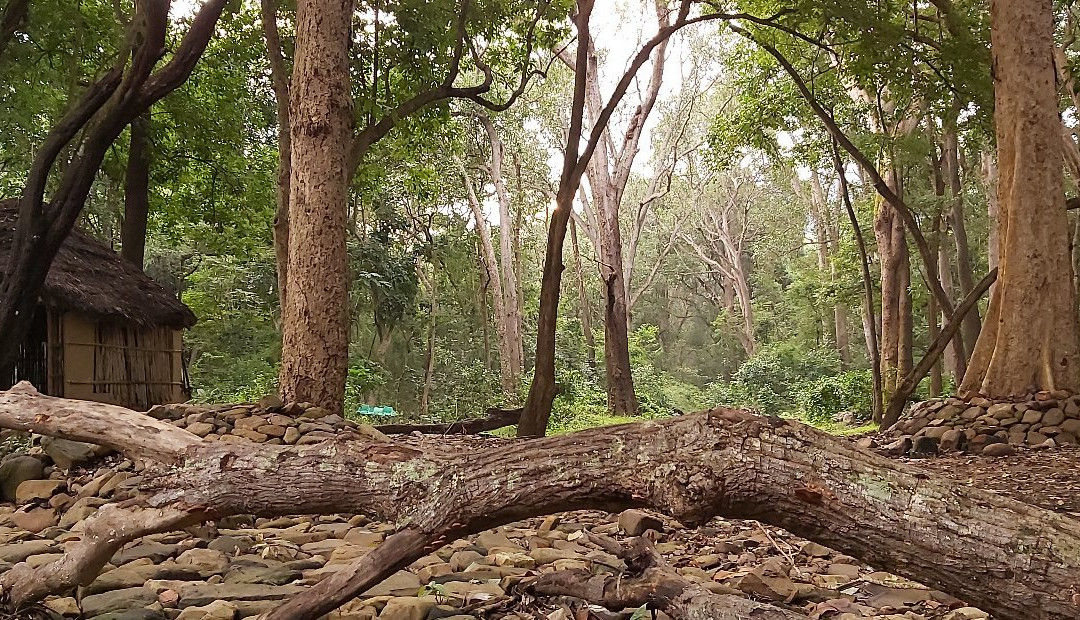 Talakona Waterfall景点图片