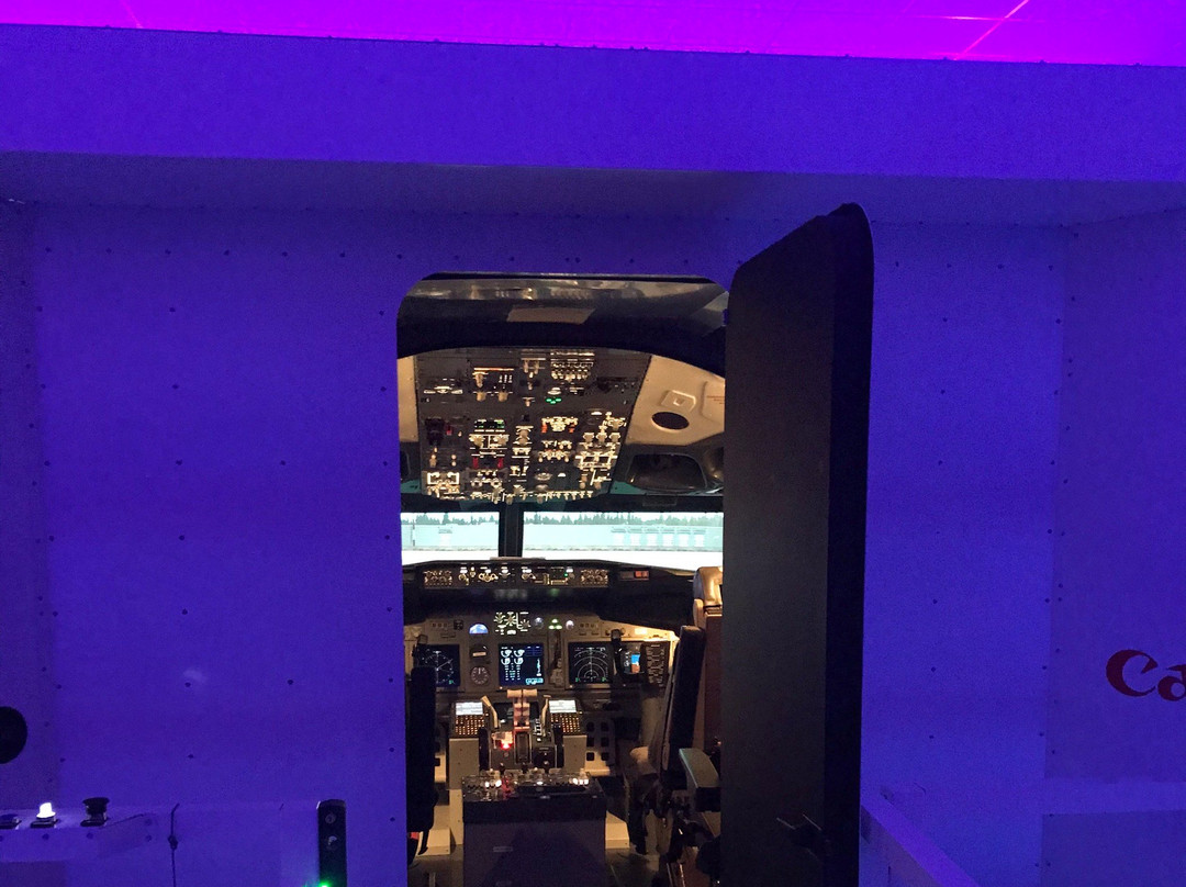 Dastyflysim - Professional Flight Simulator景点图片