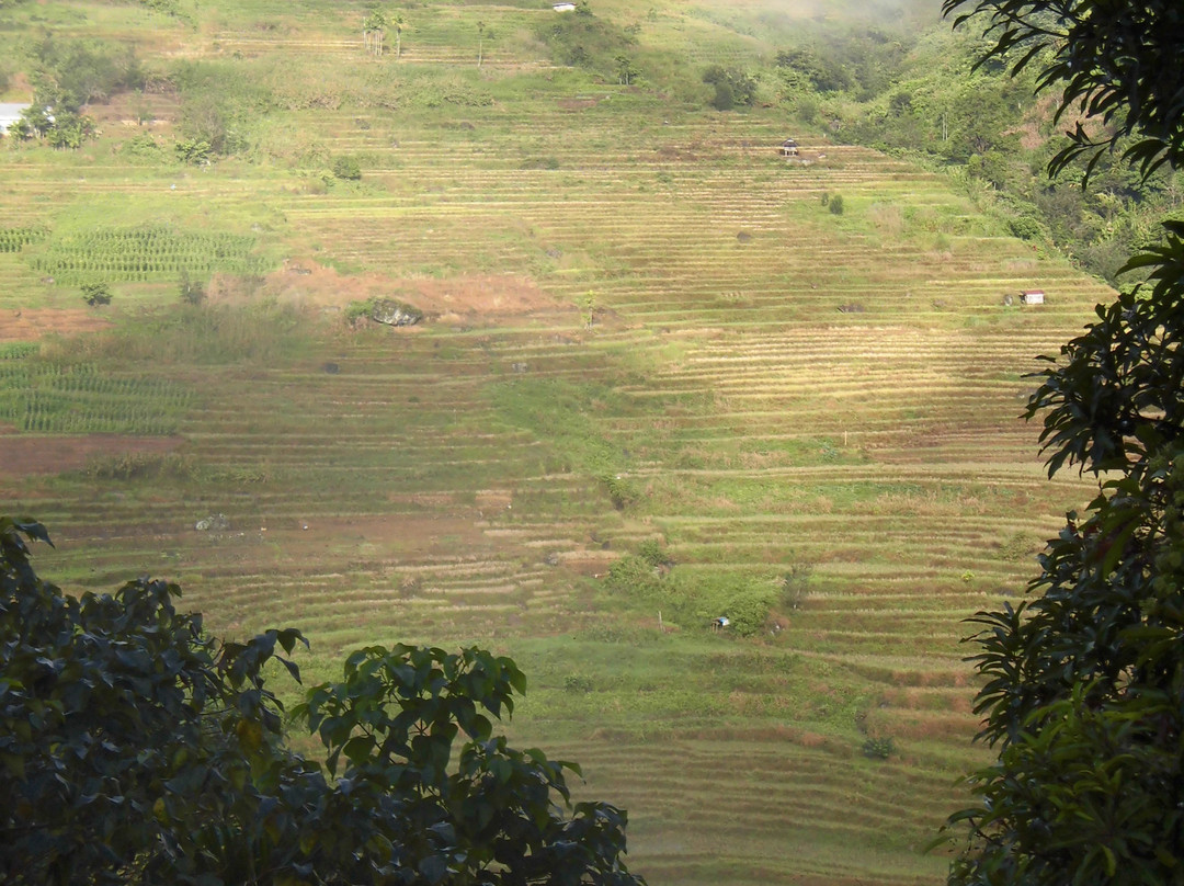 Kiangan Rice Terraces景点图片