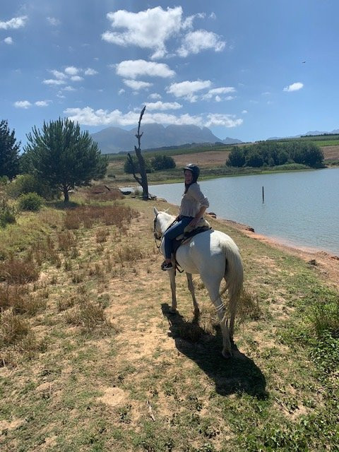 Horse Riding Cape Town景点图片