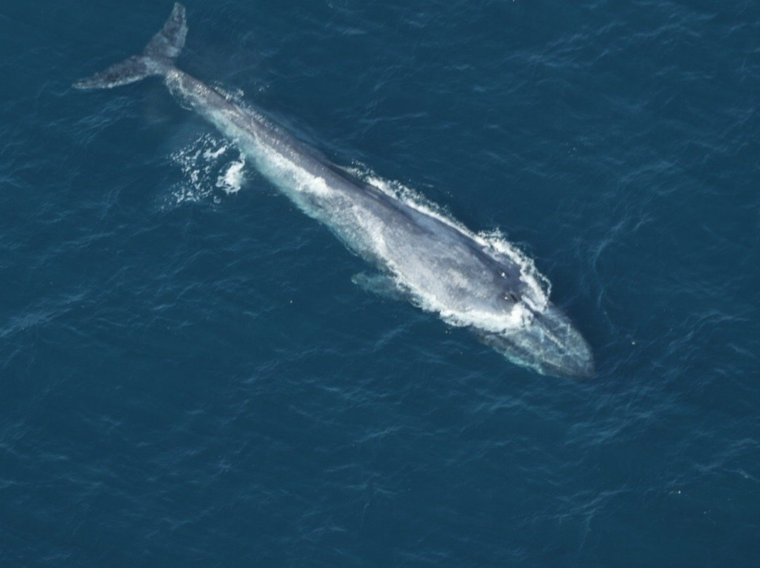 F.air-加勒必去景点