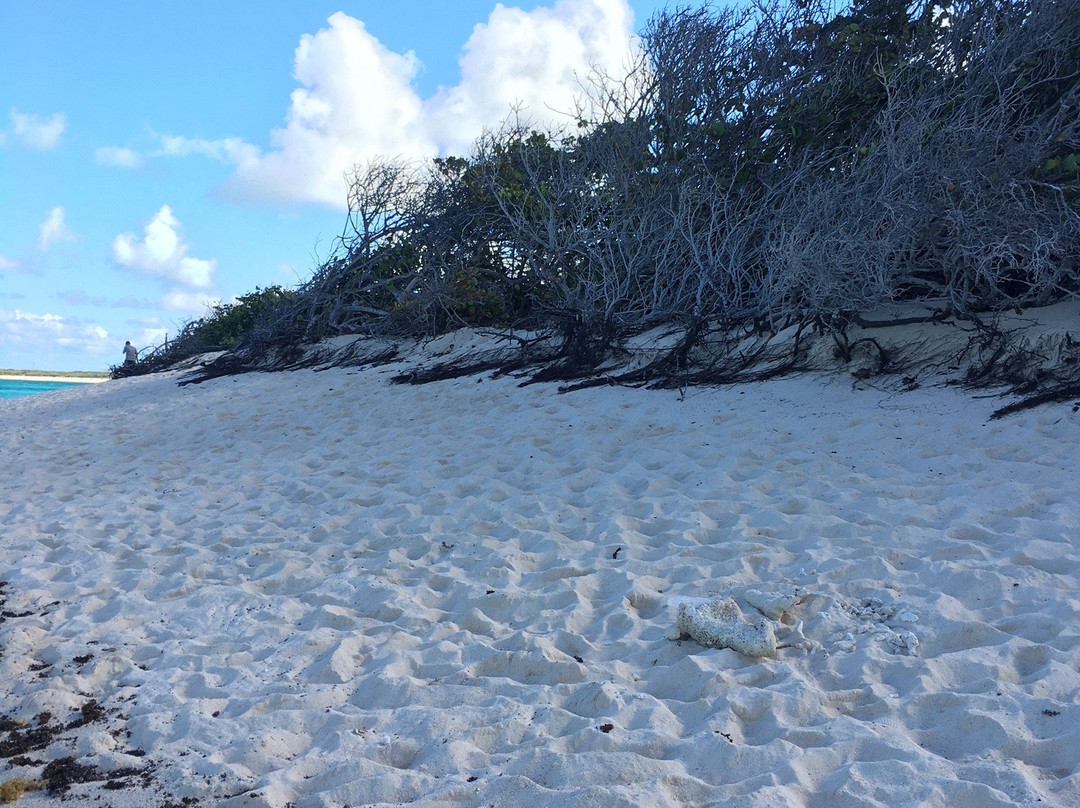 Loblolly Beach-Anegada必去景点
