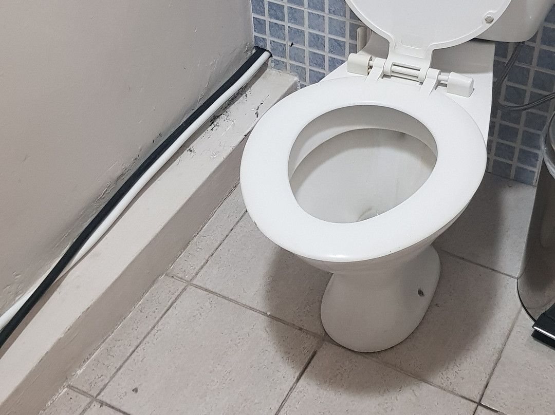 Dzama Hotel主图