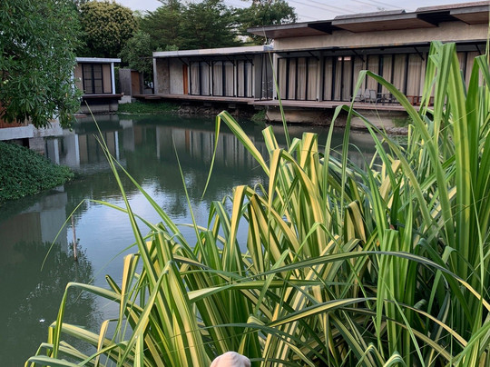 Into The Forest Resort主图