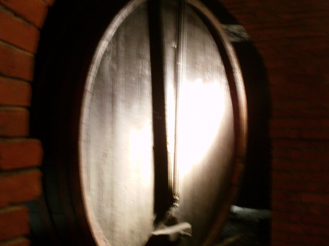 MUVIS - Museo del Vino-Castiglione in Teverina必去景点