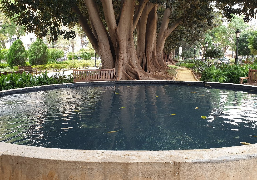 Jardin de Floridablanca-穆尔西亚必去景点