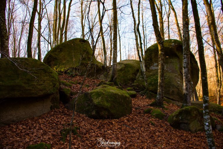 Les Roques Encantades-Susqueda必去景点