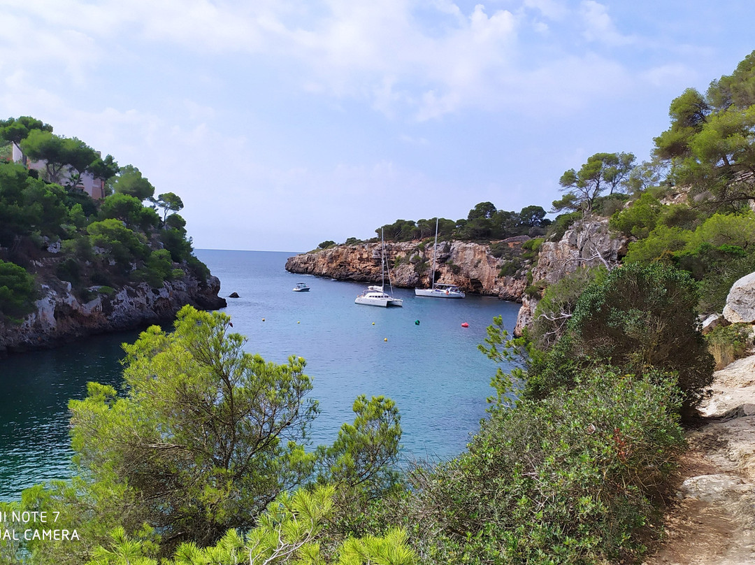 Palma Di Maiorca-San Giorgio a Liri必去景点