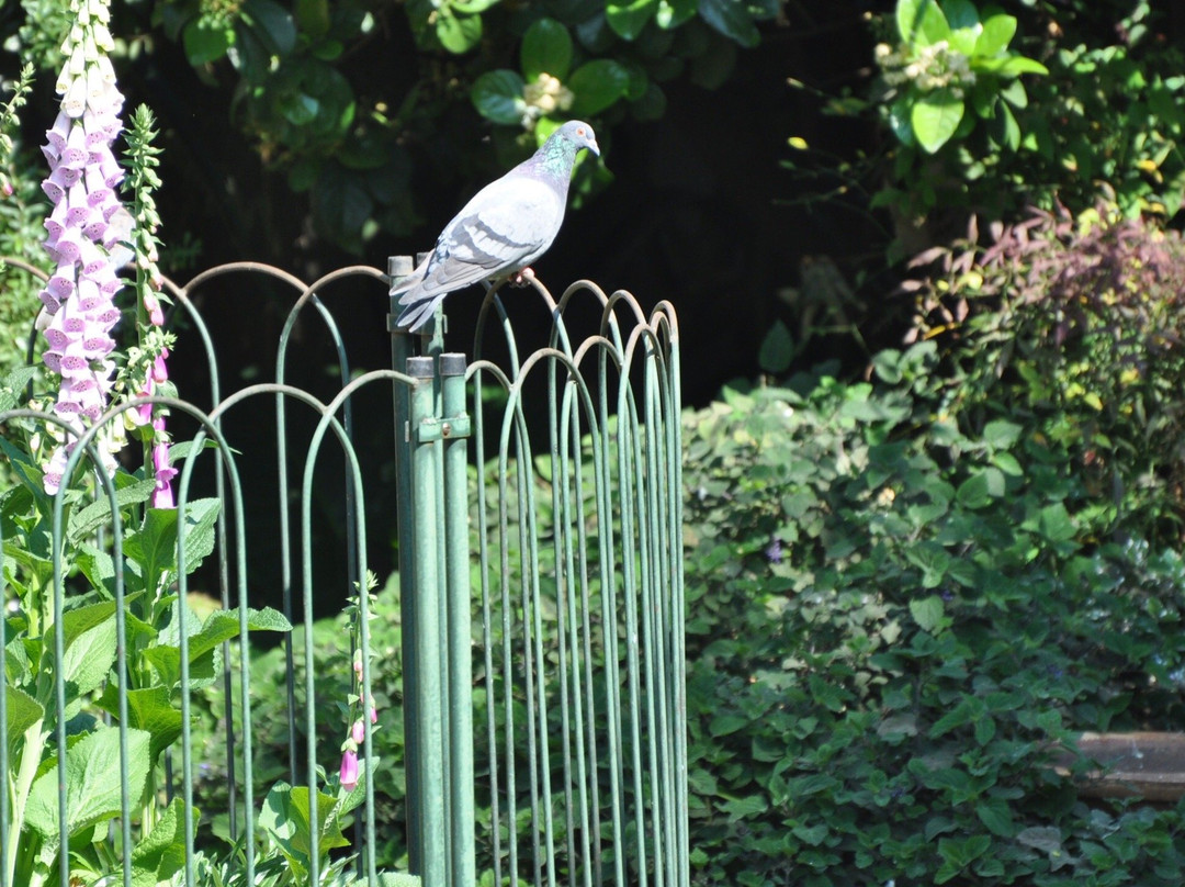 Liz at Lancaster Guesthouse主图