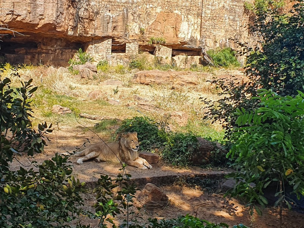 Zoo National du Mali景点图片