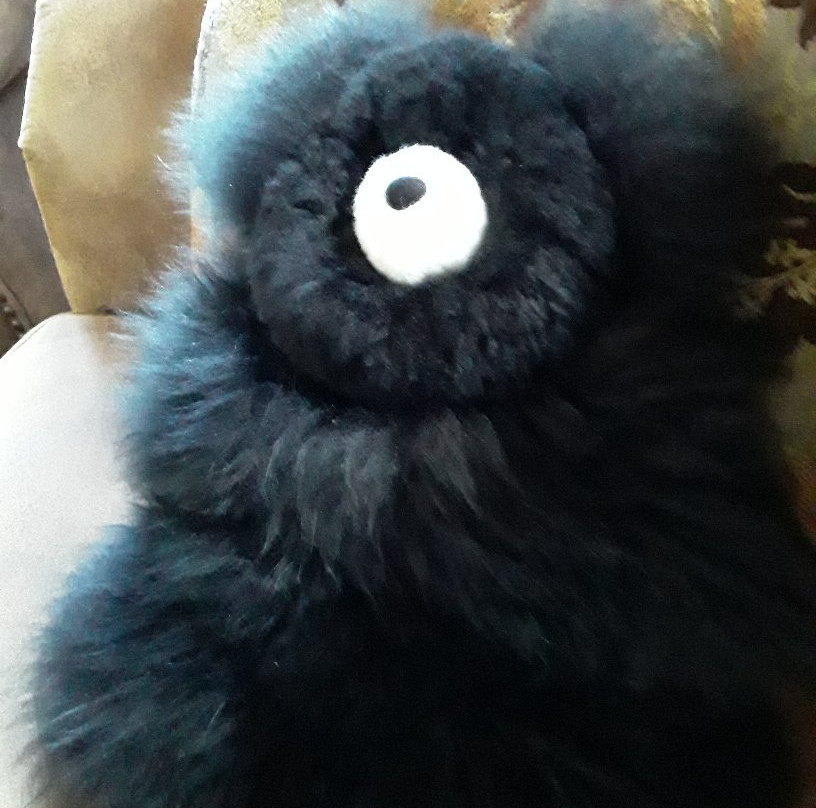 The Alpaca Store and More-Nederland必去景点