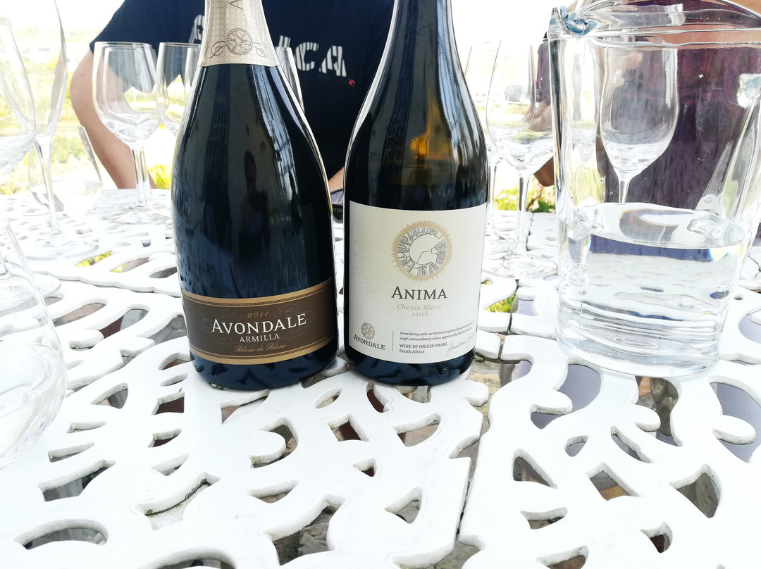 Avondale Wine-帕尔必去景点