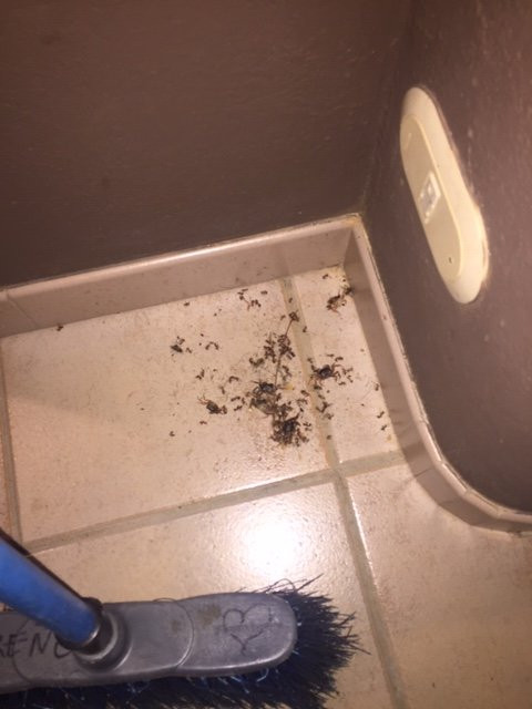 Cala Luna Boutique Hotel & Villas主图