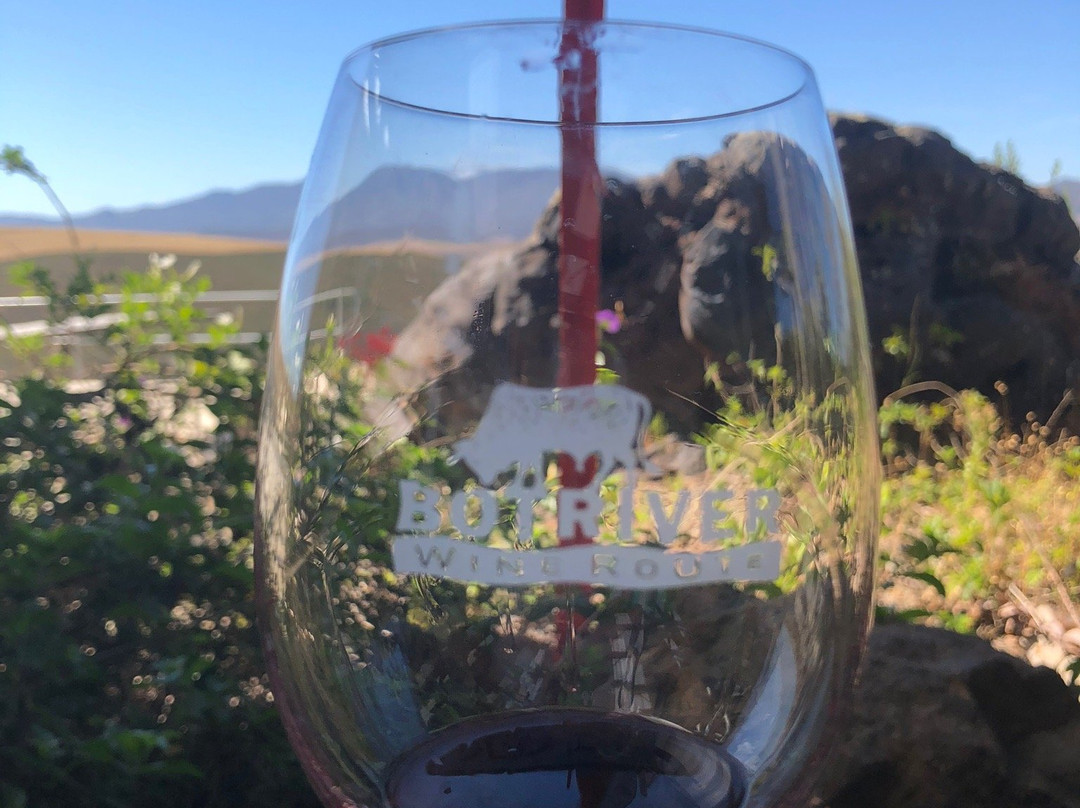 Luddite Wines-Botrivier必去景点