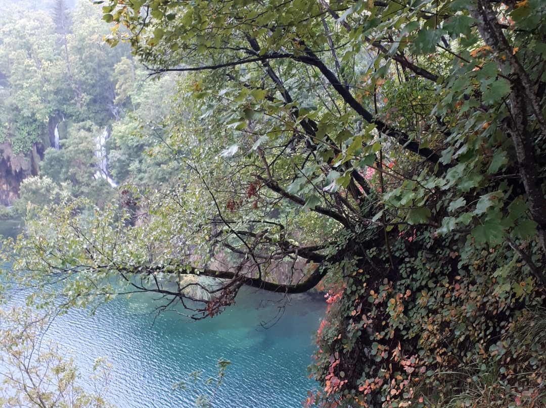Batinovac Lake景点图片