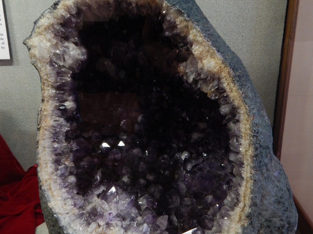 Alabama Museum of Natural History-塔斯卡卢萨县必去景点