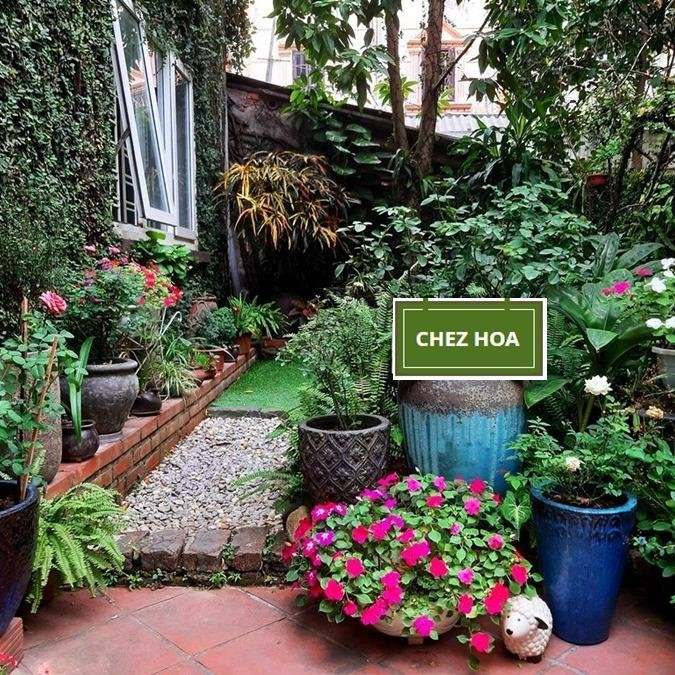 Chez Hoa - Dîner et cours de cuisine chez l'habitant à Hanoi-河内必去景点