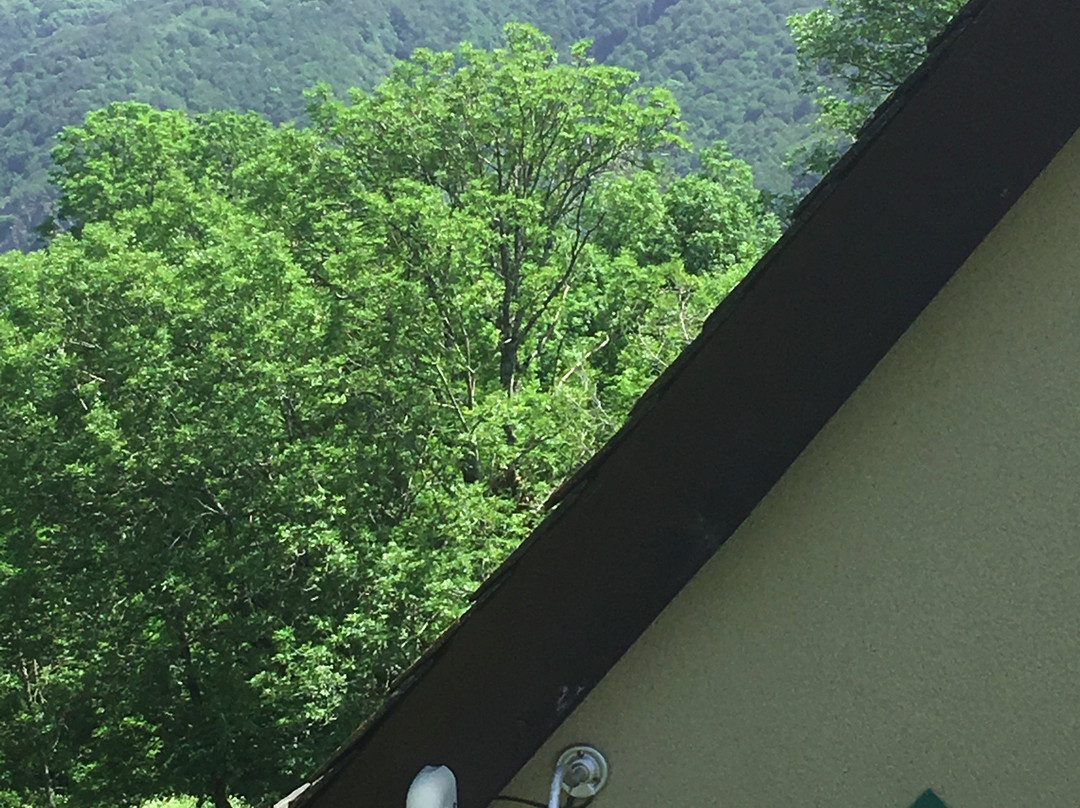 Datcha Anastasia主图