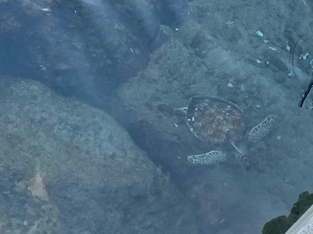 South Inlet Park Beach-博卡拉顿必去景点